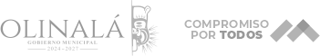 Logo Olinalá